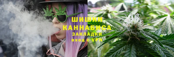стаф Березники
