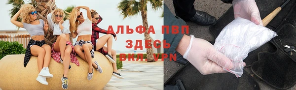 стаф Березники